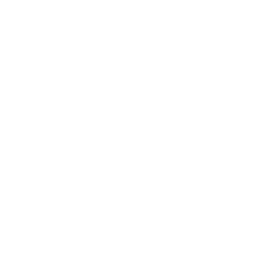 logo seo