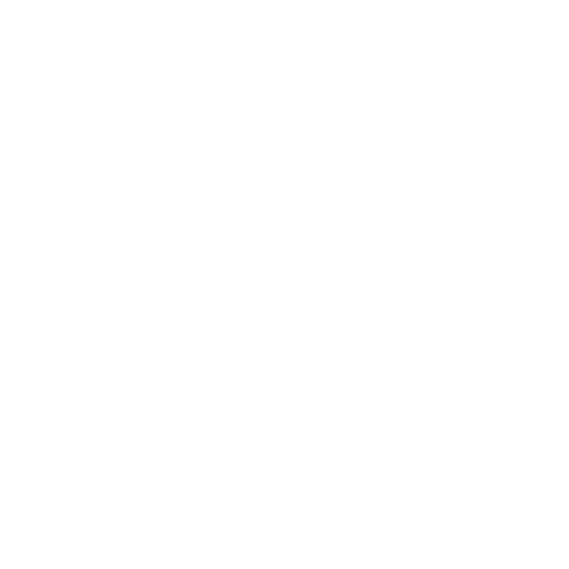 logo shopify